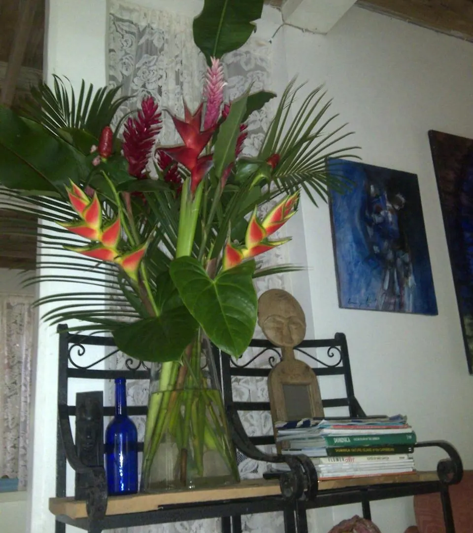 Harmony Villa Pont Casse Bed & Breakfast